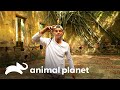 Un &quot;leprosario&quot; reclamado por la naturaleza | Wild Frank | Animal Planet