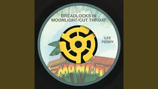 Dreadlocks In Moonlight