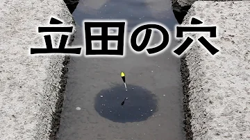 木曽川立田 木曽川立田