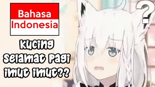 ̶K̶u̶c̶i̶n̶g̶  Minggat 3 Hari, Pulang-Pulang Bisa Bahasa Indonesia【ID Sub】