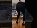 Crushing bugs in heels