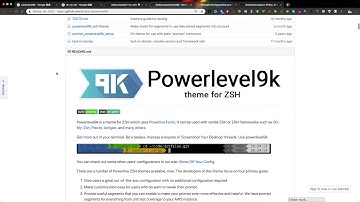 好看的 zsh 主题