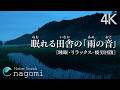 【雨の音/睡眠】眠れる「雨の音」〜田舎の田んぼ、落ち着く癒し音|睡眠・疲労回復・勉強・リラックス|自然音ASMR