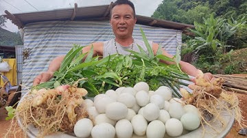 Cắt cơn 50 quả trứng lộn/Anh 1985 Vlogs