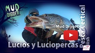 Pescando Lucios y Luciopercas con el Mud Digger de Fiiish