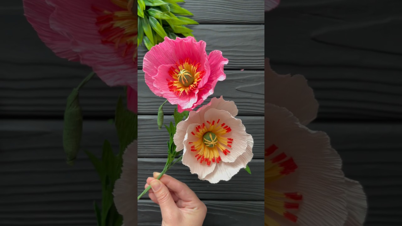 How to Make Poppy Crepe Paper Flower Crepe Paper Decoration Idea