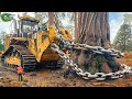 Extreme Dangerous Fastest Big Chainsaw Cutting Tree Machines | Monster Stump Removal Excavator #115