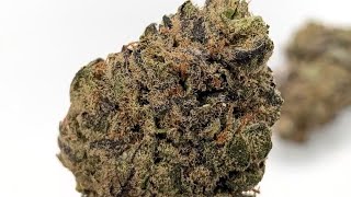 THCA KLEINE BLÜTEN |🍬🍭🔥Sweet Tarts🍬🍭🔥| Dank-Abteilung | Süß-saure Vibes! TSB!