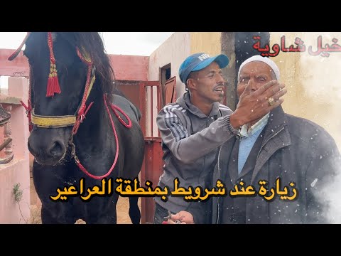 قمنا بزيارة اسطبل با رحو وشرويط دار بلبالة