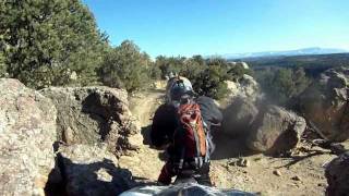 Red Bull Gopro Hero2 Gas Gas Usa Dualsportutah,Ggor.us