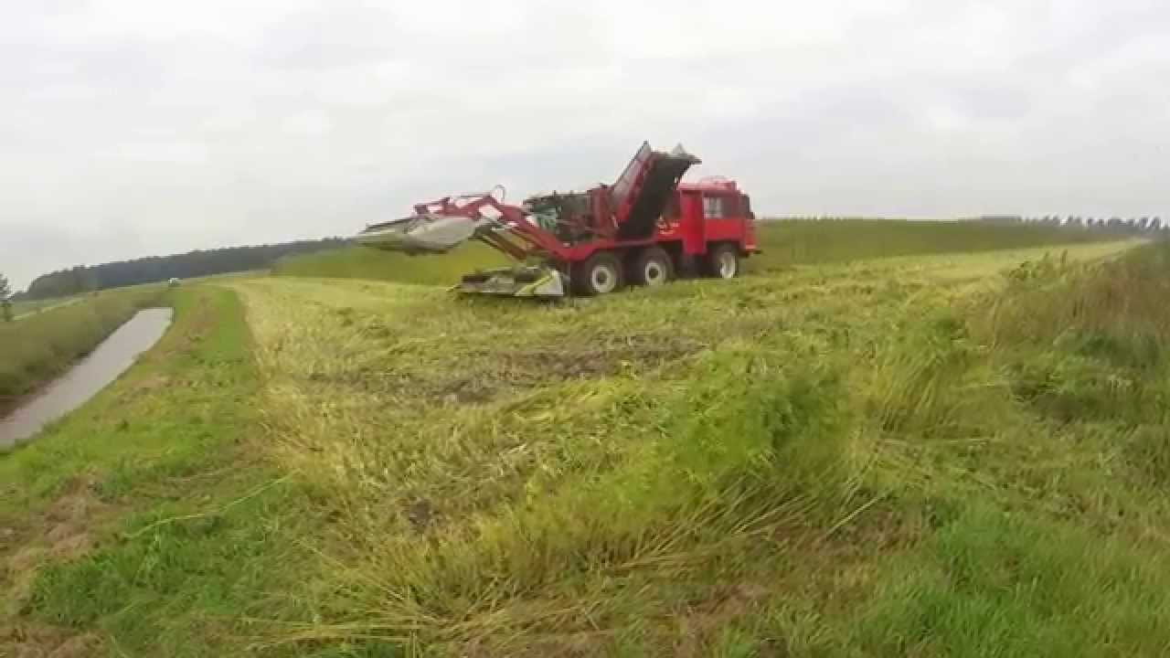 harvesting fiber hemp 2015 pert 2