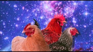 Hen Exodus In The Year 2525