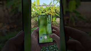 Samsung s22ultra camera đẹp , lên cho ae săn