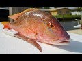 Deep Sea Snapper- Catch Clean Cook