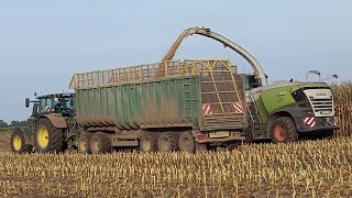 Maisernte Gut Hohen Luckow Jaguar960,Fendt826,John deere6250r,3x Case Optum250/300