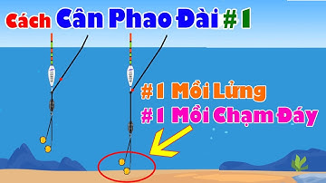 👉Hướng Dẫn Cách Cân Phao Câu Đài Chì Lửng, Một Mồi Lửng, Một Mồi Chạm Đáy 🎣 Cách Canh Phao Câu Đài#1