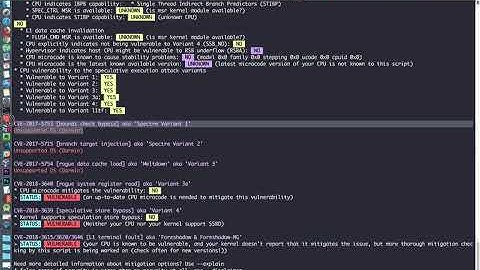 Spectre & Meltdown Vulnerability Mitigation Checker for Linux
