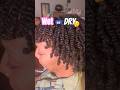 Wet or dry hair for twists?