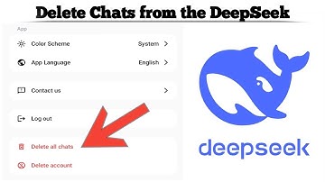 How to Delete Chats on the DeepSeek App