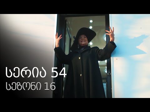 ჩემი ცოლის დაქალები - სერია 54 (სეზონი 16)