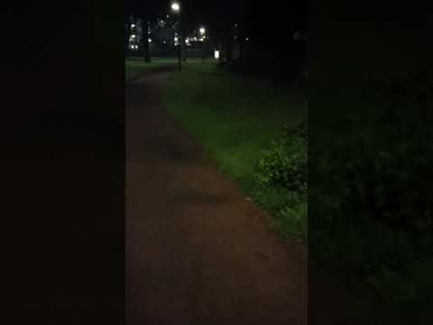 The Netherlands,  Veenendaal , dog walk nightime 8k