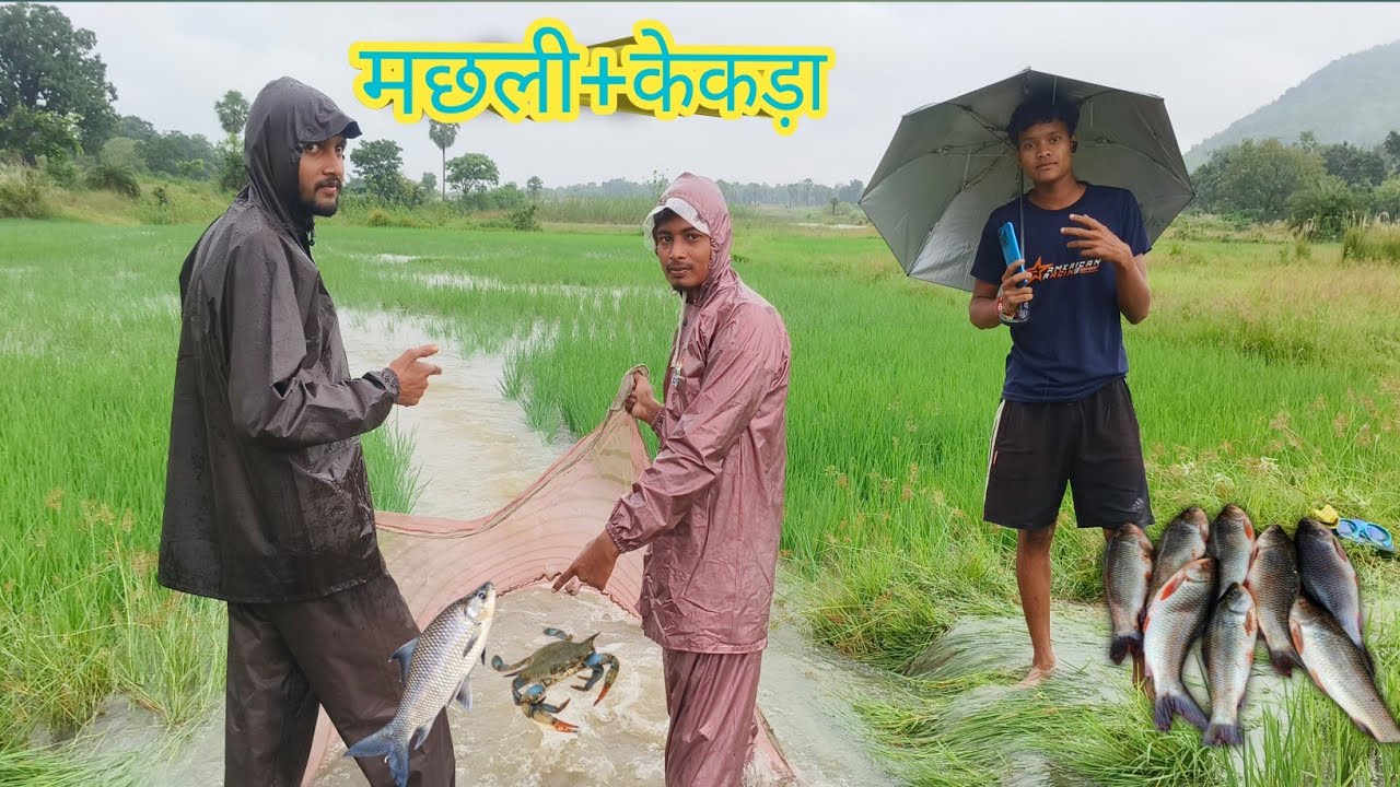 इतना मछली मिलेगा सोचा नही था 🐟 I didn't expect to find so much 🐠 fish #fishvideo #tranding 