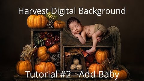 Harvest Digital Background tutorial video 2