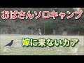 【おばさんソロキャンプ】78　通年営業でテント１張り１泊500円！安い！　そろそろ素材を検討しなければ..。おったまげた穴。フレアイランド尾崎岬