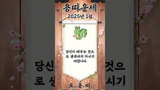 월간 용띠 운세 2025년 1월 #용띠 #오늘의운세 #내일의운세 #월간운세 #운세 #운세쇼츠