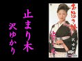 止まり木 沢 ゆかり【歌詞入り】作詞:藤間哲郎 作曲:千木良政明 編曲:池多考春