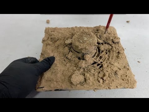 ASMR Restoring a Muddy Fan | Deep Cleaning & Satisfying Test 🌪️✨