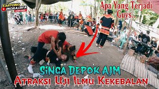 Atraksi Uji Ilmu Kekebalan Singa Depok AJM Apri Jaya Muda Live Juntikedokan