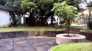 ASUS Memo Pad HD 7 sample video