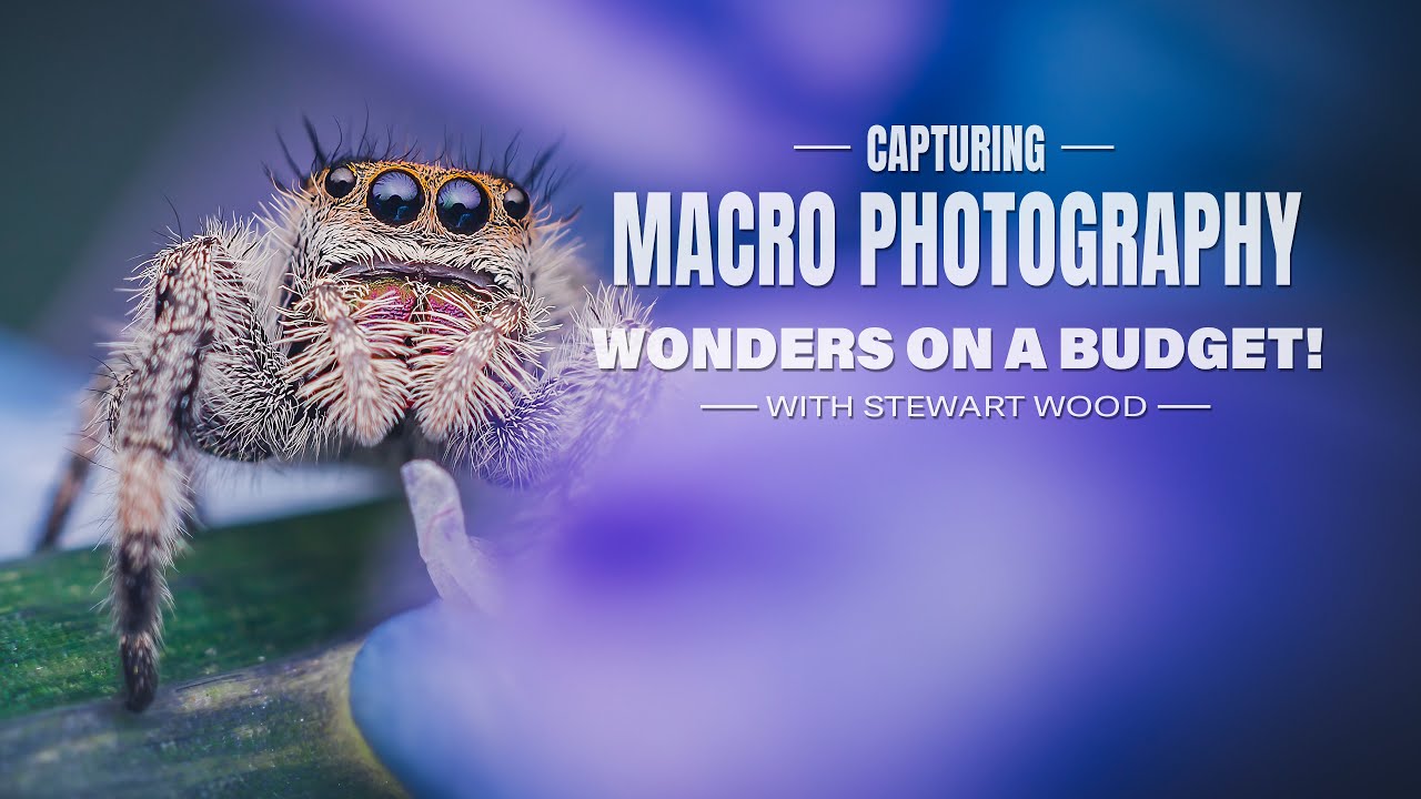 Запечатлейте чудеса макрофотографии при ограниченном бюджете!