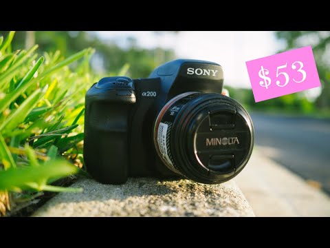 Sony A200:  Photo-Walk and First Impressions in 2022