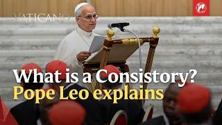 What Is a Consistory? Pope Leo XIV Explains the Role of the Cardinals | EWTN Vaticano