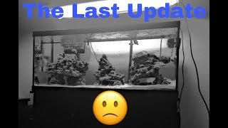 The FINAL Update. |75 Gallon Mixed Reef|