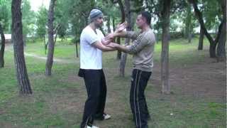 Advanced Chi Sau Techniques