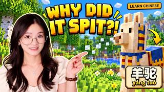 Learn Chinese Through Minecraft Part 3 | Why Is This Llama Spitting at Me?!