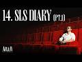14 Dizzy DROS SLS DIARY Pt 1 