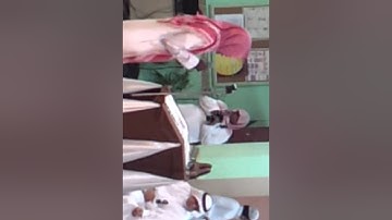 القارئ عثمان عبدالقادر .. تلاوة حجازية رائعة