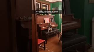 Bro Casually Mentions He Can Play Interstellar Theme On Piano