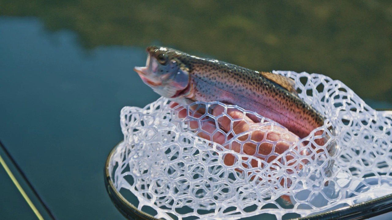 Winter Fly Fishing On Lake YouTube