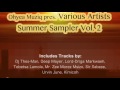 Various Artists - Summer Sampler Vol. 2