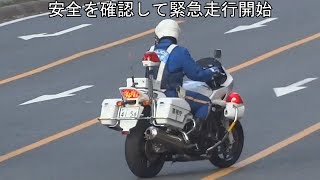 交通取締り動画視聴回数ベストテンをダイジェスト版で一挙公開【白バイ、テクニック、覆面、パトカー、サイレン、追跡、違反、逃走】全て見るまで帰れま10