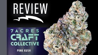 PINK KUSH - 7 Acres craft collective  - english review #SQDC