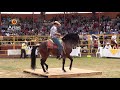 CONCURSO DEL CABALLO BAILADOR EN FERIA DE ZACAZONAPAN 2018