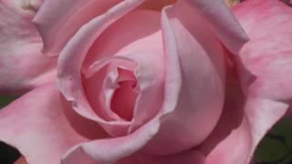 Byron Katie - Terrorism