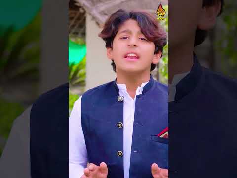 Choti Umaran Wich Rog Lae Piyar Da | Naveed Mansoor Malangi | New Saraiki Song 2026 | Naz Saraiki