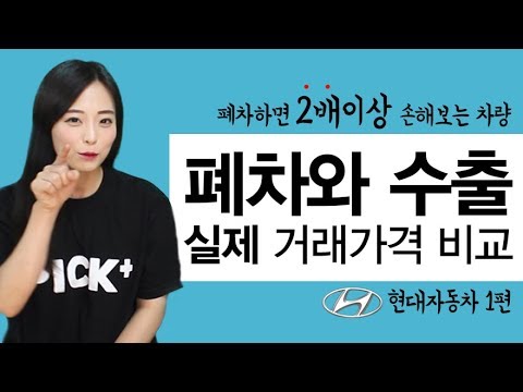 자동차책임보험과태료